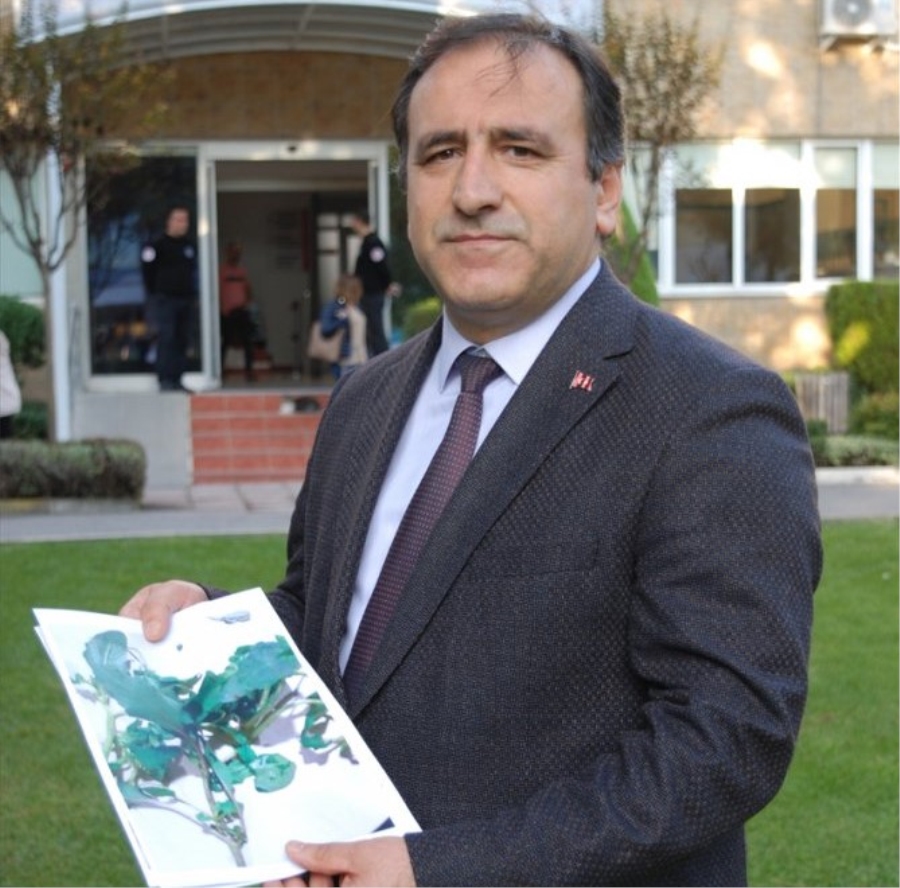 İstanbul Tarım ve Orman Müdürü Karaca