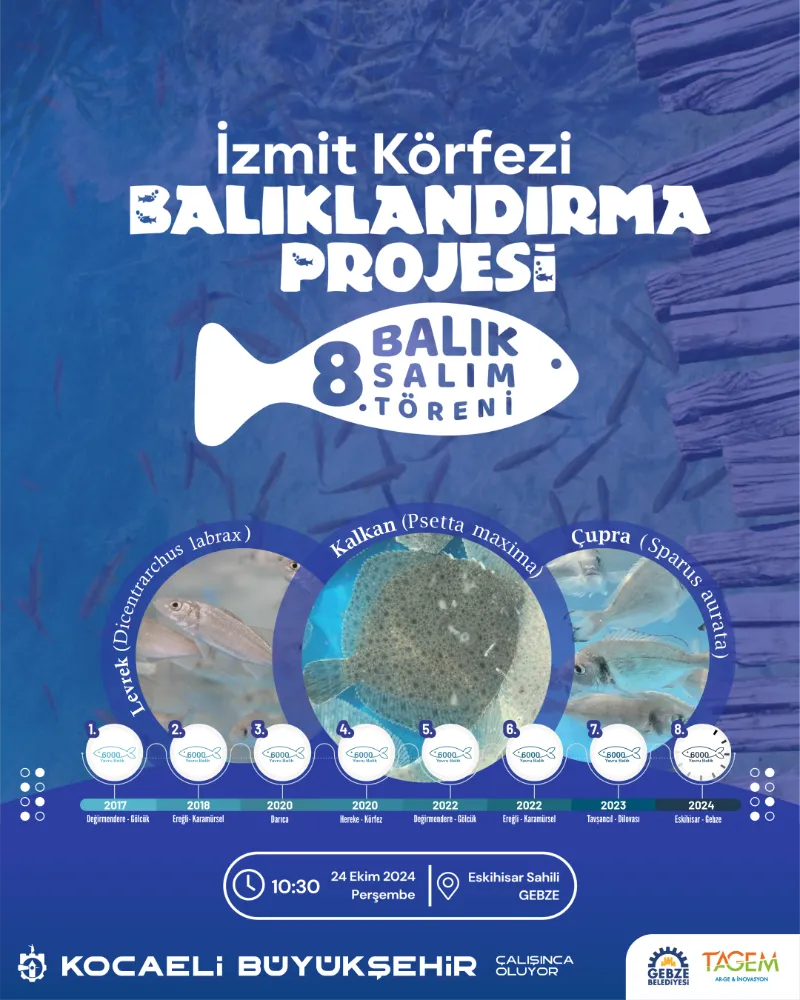 İzmit Körfezi’ne 6 bin balık daha salınacak