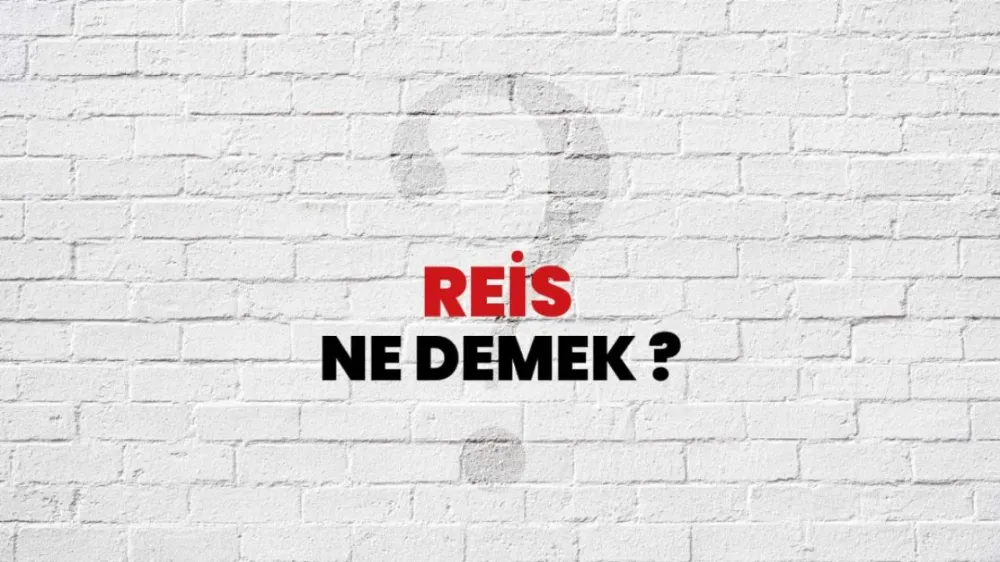 Reis Ne Demek