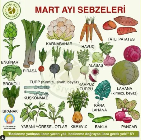 MART AYI SEBZELERİ