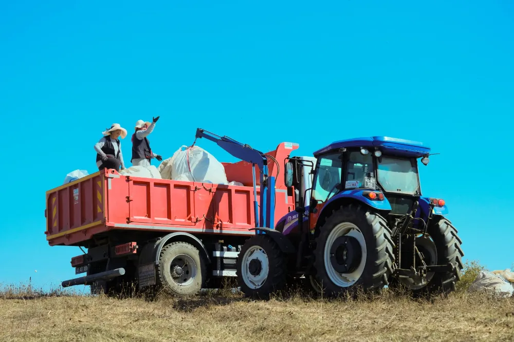 1.140 dekarlık alanda biberiye zamanı