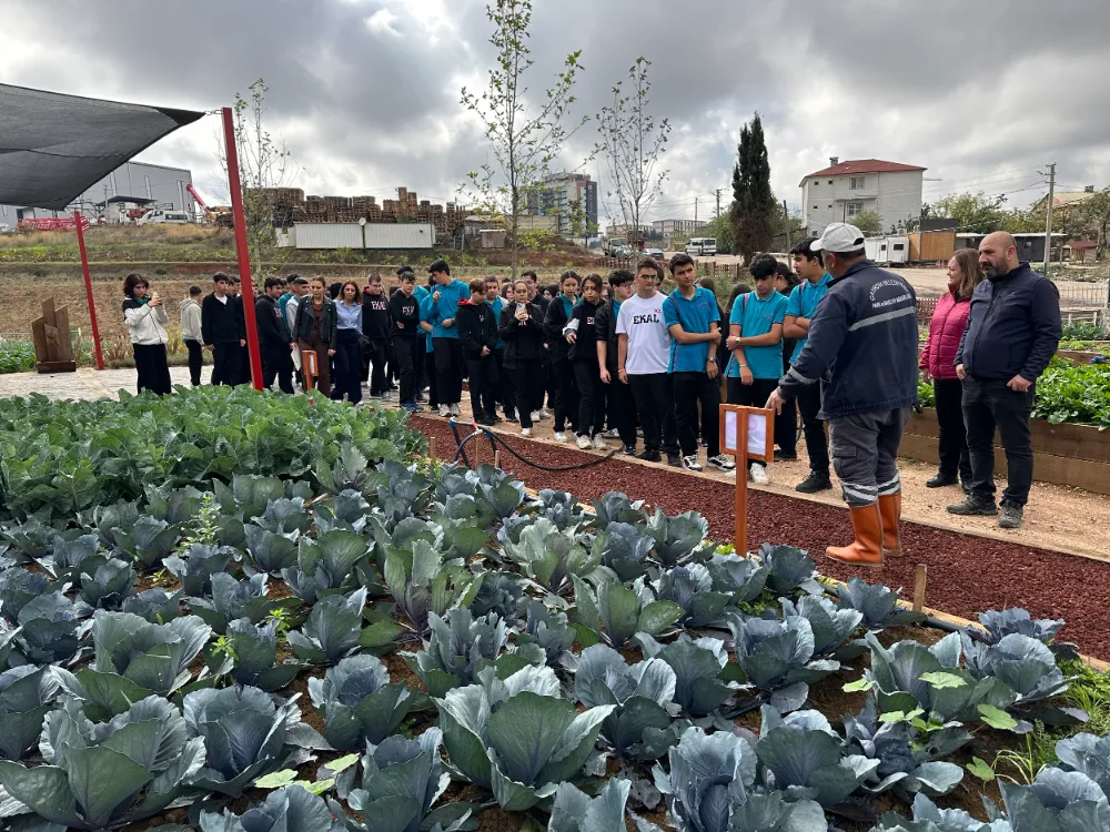 EKAL öğrencileri, Bahçem Çayırova’da hasat yaptı