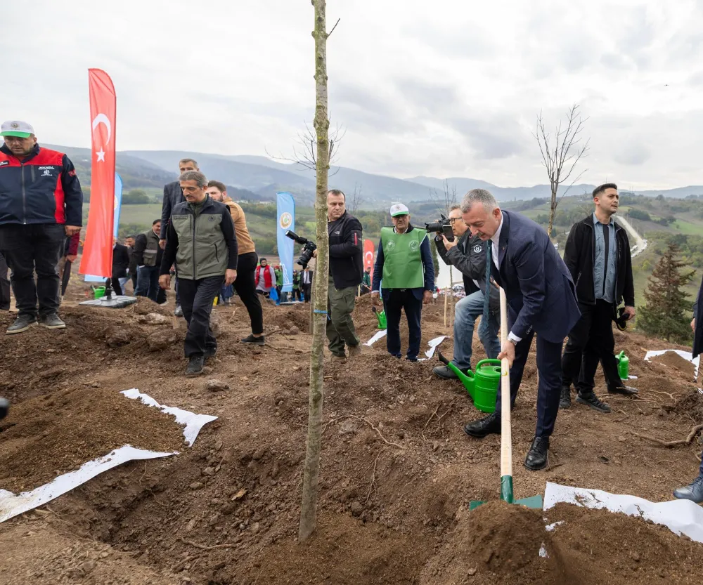 Ciğerimiz yanmıştı:  Karamürsel’de yanan bölge 3 bin fidanla yeniden yeşerecek