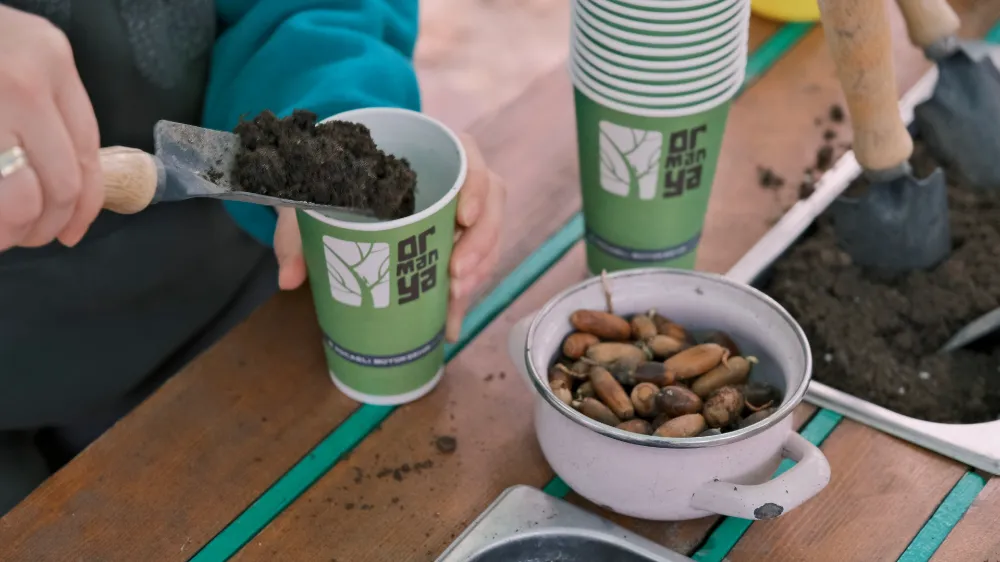 Ormanya ve Kuzuyayla’da fidanlar toprakla buluştu; Büyükşehir’den “Yeşil Vatan” seferberliği