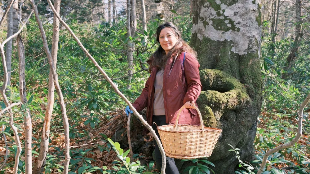 Kuzuyayla’da mantarların gizemli dünyası keşfedildi