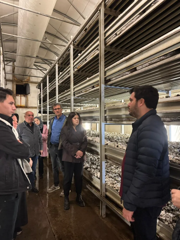 Büyükşehir Tarım Akademisi’nde uygulamalı eğitim; Aday çiftçiler sahada teorik bilgilerini pekiştirdi